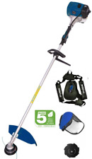 Decespugliatore a scoppio