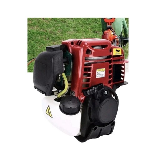 Motore decespugliatore - decespugliatore, a