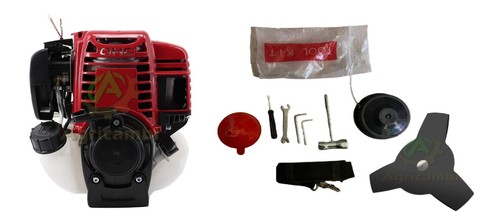 Motore decespugliatore - motore, a