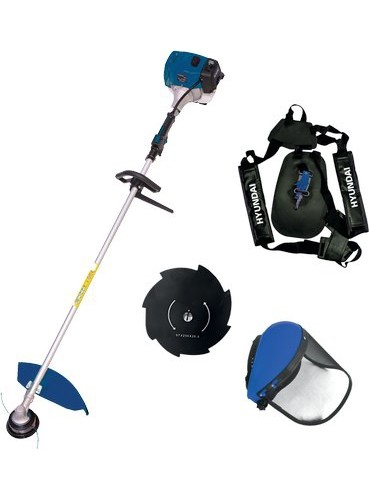 Decespugliatore motore 4 - a, a
